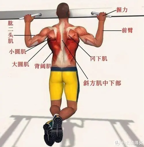 <strong>必威：乒乓球台内多高的球可以挑打</strong>